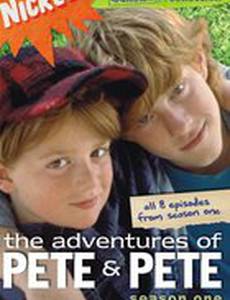 The Adventures of Pete & Pete 20th Anniversary Reunion