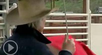 Фрагмент №4