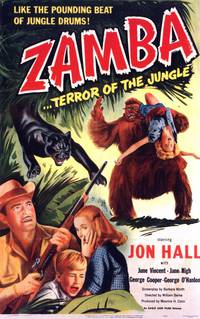 Постер Zamba