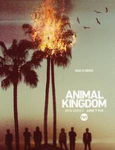 По волчьим законам