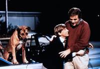 Кадр Клиффорд