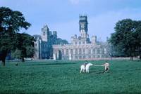 Кадр Пригоршня праха