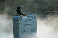 Кадр Дневники вампира