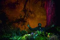 Кадр Моя любовная песня