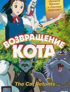 Возвращение кота