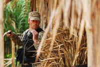 Кадр Ключ Саламандры