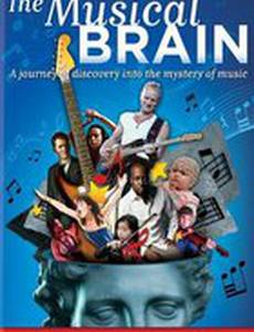 Мой музыкальный мозг