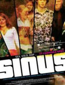 Sinus