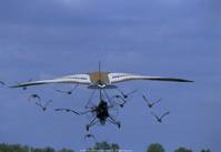 Кадр Летите домой