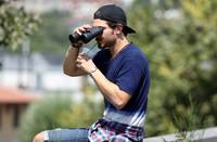 Кадр Дикий мёд