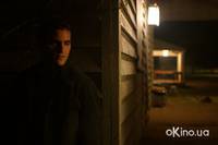 Кадр Таинственный лес