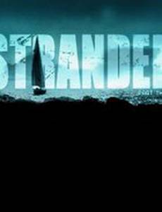 Кошмар в тропиках