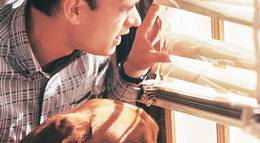 Кадр из фильма "Тёрнер и Хуч" - 2