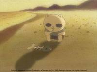 Кадр Кошачий суп