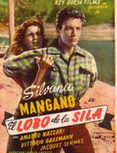 Волк из Силы