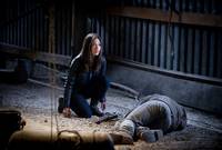 Кадр Красавица и чудовище