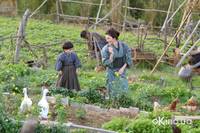 Кадр Последний самурай