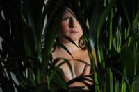 Кадр Обезьянки