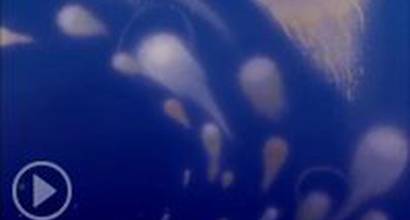 Фрагмент №2