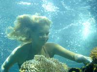 Кадр H2O: Просто добавь воды