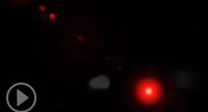 Промо-ролик №2