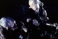 Кадр Гемоглобин