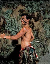 Кадр Вредитель