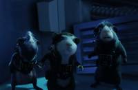 Кадр Миссия Дарвина