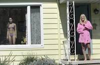 Кадр Сломанные цветы