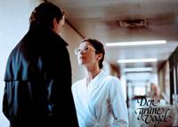 Кадр Зеленая птица