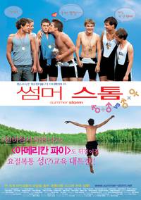 Постер Летний шторм
