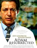 Постер из фильма "Воскрешенный Адам" - 1