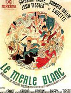 Le merle blanc