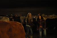 Кадр Нация фастфуда