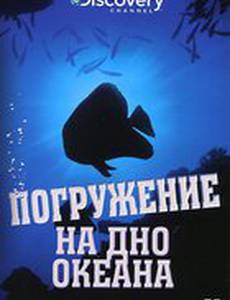 Discovery: Погружение на дно океана