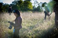 Кадр Ганнибал