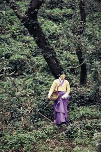 Кадр Легенда о полукровке