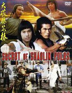 Секрет столбов Шаолиня