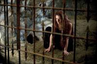 Кадр Легенда об Искателе