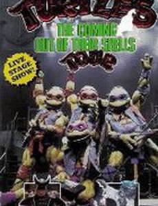 Черепашки ниндзя: Музыкальный тур (видео)