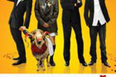 Свадебный разгром