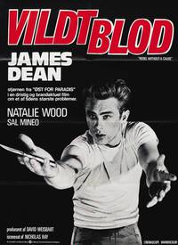 Постер Бунтарь без идеала