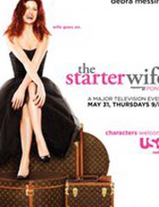 Развод по-голливудски (мини-сериал)