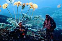 Кадр Сны Акиры Куросавы