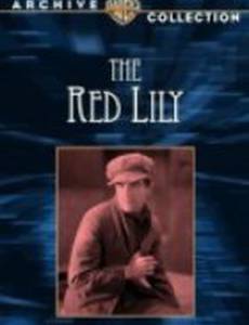 Красная лилия