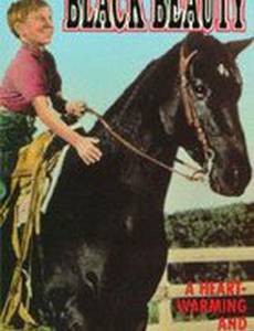 Courage of Black Beauty