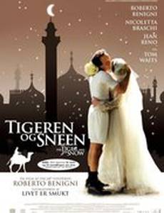 Тигр и снег