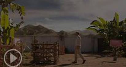 Фрагмент №8