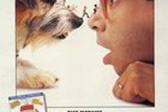 Дорогая, я уменьшил детей