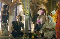 Кадр Дикая жизнь